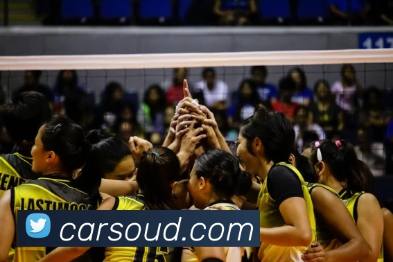 博亚体育app官网入口品牌故事